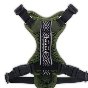 Wilder Dog Leash & Harness